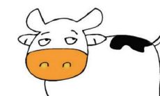 探索1949年出生、73岁的生肖牛女在2021年的运势：今年49岁的她能否迎来好运？