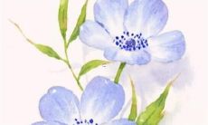 2022年属虎人的桃花运如何？如何让属虎人在2022年招来喜欢的人和姻缘？