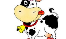 1949年属牛本命年需要注意哪些事项？2021年已经72岁的人应该佩戴哪种好物呢？