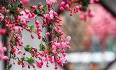 30个创意十足、含有“洁”的且好听的微信昵称推荐！