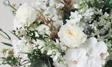 ——发现她们的性格、情感和行为中的多变性，尝试理解和适应