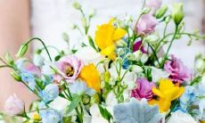 探究天鹅星座的传说与神话：深入探索繁星中那群曼妙的白翼鸟的美丽传说