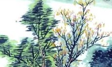 探讨腾讯公司2022年运营前景与表现的预测与分析