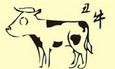 2021年本命年，1949年属牛出生人在本命年该如何应对运势？还需探究生肖牛今年的吉凶情况！