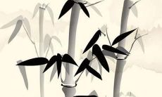 揭秘：2022年全球最流行的新生儿名字排行榜！