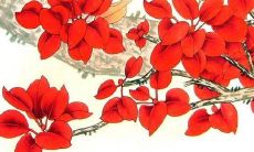 如何规避不利因素，选择最佳月份，2022年在何时生娃最优？