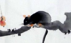 生于1948年，年届74岁的属鼠男子2021年运程如何，来看48年生肖鼠男命运走向！