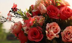 以何种方式可以明确自己的升星座与其对应的星座属性？