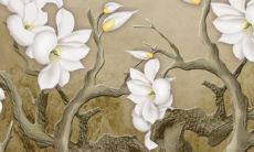 属鼠的女性是否适合戴银质手镯？探讨银质手镯对属鼠女性的不适合原因