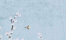 2022年，迎来48岁生肖鼠者的时刻：探究受生肖影响的命运走向与展望！