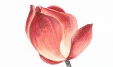 在相亲中不问女孩的名字是否是一种好的策略？