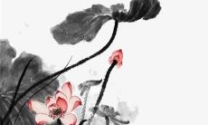 2022年逐月拆解！探究83年生肖女每月不同的运势表现