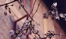 个星座，2022年运势预测及星象解析，详细解读牛座人在爱情、事业、财运等方面的表现！