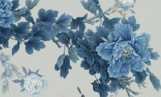 属猪人2022年鸡年运势预测和详细的人生运程解析