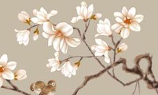 2022年属狗的人应该避免什么行为？虎年属狗人在生活中应该注意什么事项？