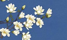 探讨2022年属猴的人佩戴朱砂项链的效果是否好？