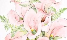 求取拥有姓任的女宝宝名字的综合手册