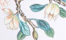 揭晓！2022年宿舍人运势大揭秘，详尽预测财运、感情、事业发展与健康状况！