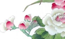 2022年属猪人的感情状况展望：从单身到婚姻，爱情波澜起伏，你会经历哪些情感挑战？