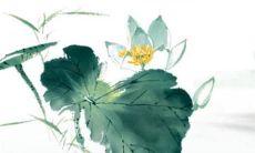 2022年蛇年运势如何？是否有贵人相助能助你一臂之力？