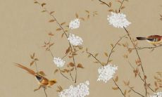 2022年37岁的属牛女性：每月详解你的运势及女命解析