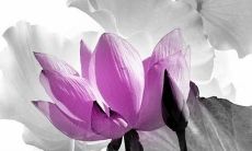 探讨2022年如何化解犯太岁的负面影响，避免流年不利的方法与技巧