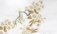 2022年，降临属牛61年出生的人们所迎来的运势是怎样的呢？