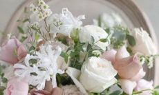 你是否拥有崇尚和平与自由的星座品质？