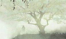 2022年是属猴人的瑞年，有哪些幸运物品值得佩戴？