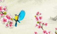 预测92年出生的人在2022年的命运和运势如何？