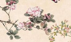 二十二属鼠人在2022年的幸运地点在哪里？明年虎年被赐予吉利方向