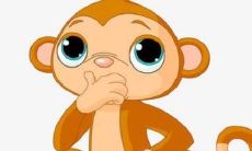 如何评价92年12月出生的猴子？这些聪明机灵而且预示着一生健康安康啊！