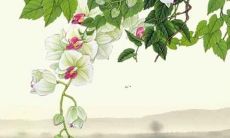 解析：生肖猴2022年详细运势和运程免费获取，掌握猴儿的财运、事业、爱情等方面的走向预测！