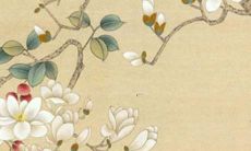 2022年辛酉日出生的人们的运势展望：未来一年里你的财运、感情和事业将会如何发展？