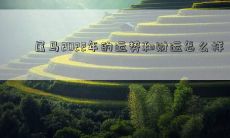 2022年属马者的运势和财运预测，详细解析属马人在接下来一年的吉凶变化及财务收入情况