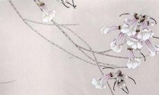 2022年属龙女34岁生肖运势与未来发展趋势预测