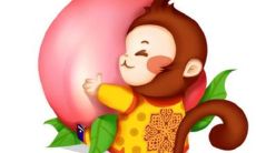 忽视！你知道生肖猴最忌讳的颜色是哪些吗？从黑色、红色、紫色到其他细节，了解这些颜色对于猴年的重要性