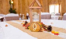 这些星座从出生时起就拥有好运气，一生中几乎所有事情都能心想事成