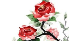 2022年戊寅戊午癸巳辛酉的综合运势分析与预测