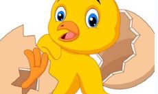 生肖鸡为何会遇到婚姻困境？是否选择了不适合的对象所致？