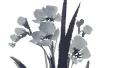 2022年属马女的感情运势如何，将会面临怎样的挑战和机遇？