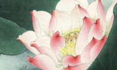 一些非常好听的商场名称，可以为您的品牌带来更多的客户和较高的关注度