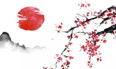 2022年，一只年过56的母猴的运势将如何展现？