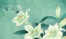 2022年，作为1993年属鸡的男性，你在虎年的运势会如何呢？