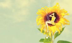 探究牛与虎年是否兼容：从宏观层面分析97年男牛与98年女虎的婚姻结果