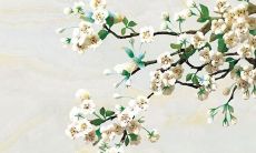 从事业、财富、爱情到健康，细阐2022年双鱼座全方位运势预测