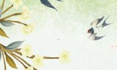 属鸡女1969年生：2022年星座运程解析，探究事业、财运、爱情、健康全方位发展状态！