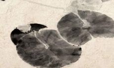 唐绮阳2022年的全年命运趋势与运势预测分析，包含财运、感情、职场、健康和家庭等方面的全面解读