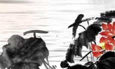 如何预测98年出生的兔女在2022年的运势？