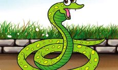 探讨1965年出生57岁的生肖蛇女在2021年的运势以及当前年龄65岁的她运势如何